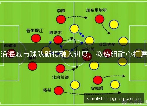 沿海城市球队新援融入进度,教练组耐心打磨 沿海城市球队新援融入进度,教练组耐心打磨